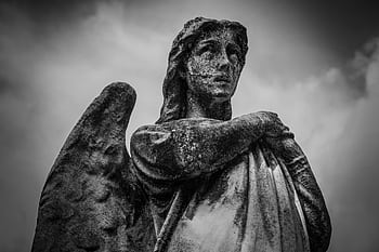A dramatic black and white of an angelic statue with detailed textures. HD wallpaper