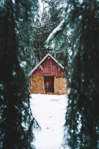 Winter, Nature, Trees, Snow, Fir-Trees, Hut HD phone wallpaper