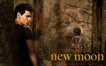 Twilight new moon, Stylish collection, Mesmerizing backgrounds, Fan favorite HD wallpaper