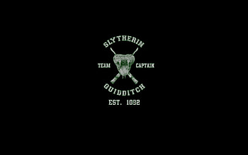 Slytherin Quidditch team, Harry Potter , House rivalry, Magical athletes HD wallpaper