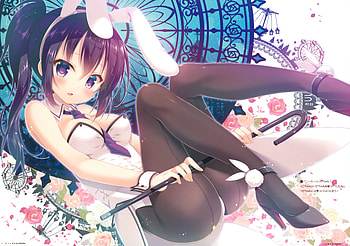 Bunny Girl, bunny ears, cute, long hair, beauty, lady, female, sweet, roses, soft, girl, beautiful, black hair, woman, anime girl, pink, anime, pretty, lovely HD wallpaper