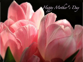 Happy Mother