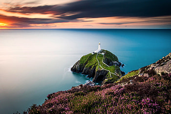 Coastal beauty, Lighthouse views, Flowers in Wales, Scenic HD wallpaper