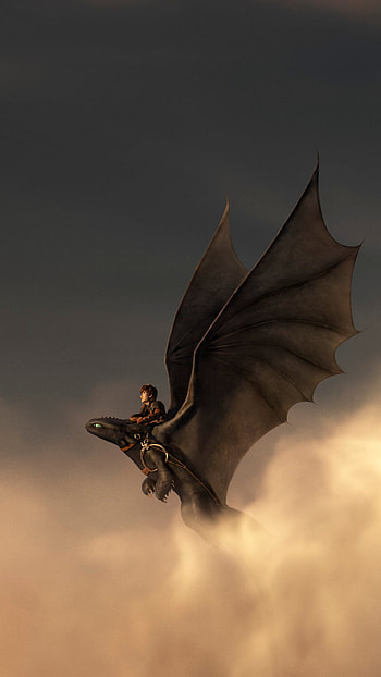 How to Train Your Dragon 2: Epic Flight with Hiccup & Toothless, Toothless (How to Train Your Dragon), Hiccup (How to Train Your Dragon), movie HD phone wallpaper
