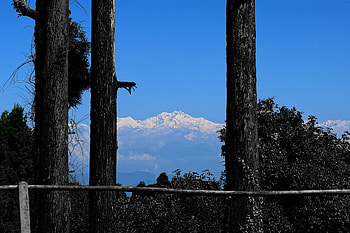 The Great Himalayas, Black trees, Mountains, Height, Snow HD wallpaper
