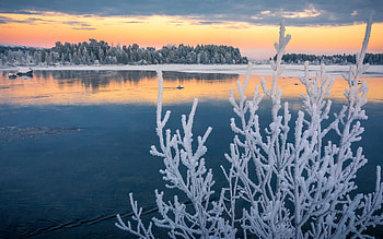 Lake in Sweden, winter, Sweden, hoarfrost, lake HD wallpaper