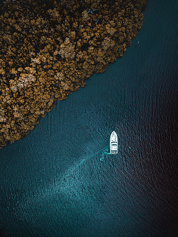 Aerial view, sea, forest, boat HD phone wallpaper