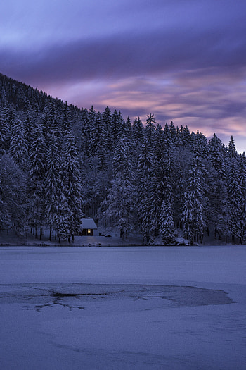 Nature, Trees, Italy, Lake, Structure, Fusine, Fuzine HD phone wallpaper