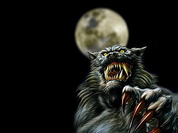 Werewolf, creature, fantasy, dark HD wallpaper