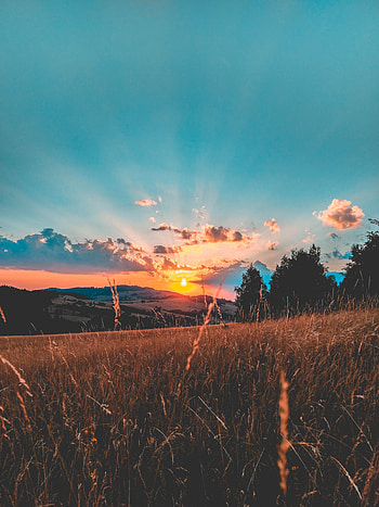 Nature, Sunset, Grass, Sky, Clouds, Field HD phone wallpaper