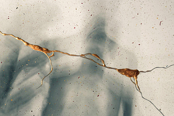Abstract, Paint, Glass, Stains, Spots, Crack HD wallpaper