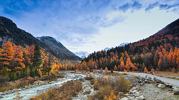 Colorful Autumn Trees Bushes Water Stream Stones Mountain Slope Forest Under Clouds Blue Sky Nature HD wallpaper