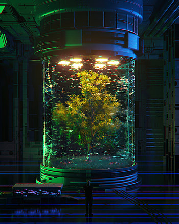 Wood, Tree, 3D, Sci-Fi, Fiction, That's Incredible, Flask HD phone wallpaper