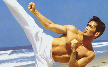 Mark Dacascos, , Martial art HD wallpaper