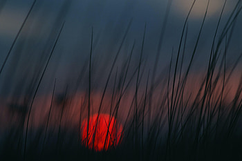 Sunset, Grass, Sun, Twilight, Dark, Blur, Smooth, Dusk HD wallpaper