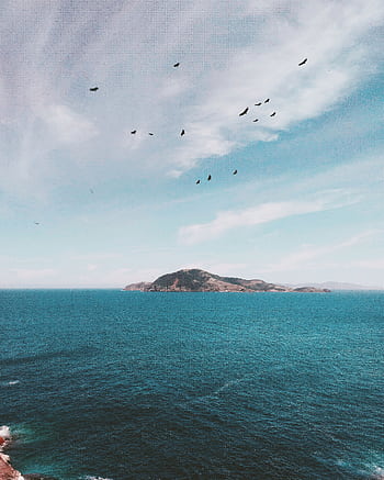 Birds flying over the ocean with a scenic island view in Cabo Frio, Brazil. HD phone wallpaper