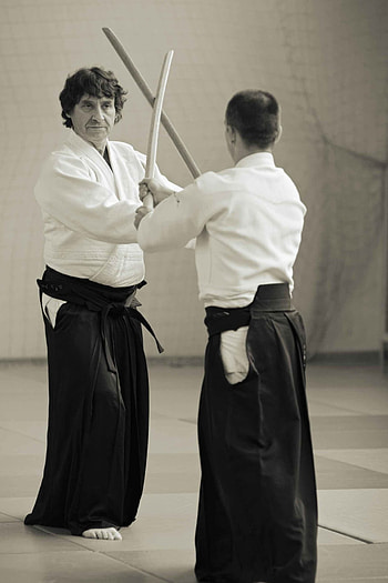 Kashima Shinryu school, Aikido HD phone wallpaper