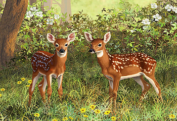 Twin Whitetail Fawns, meadow, flowers, blossoms, deer, painting HD wallpaper