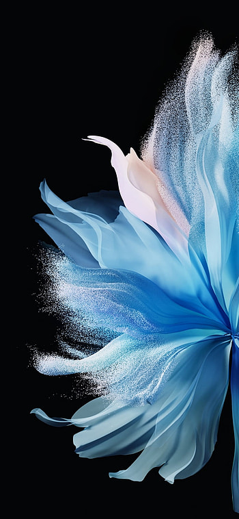 Flower, sky, feather HD phone wallpaper