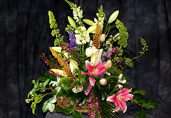 Flowers, Lilies, Typography, Registration, Greens, Buds, Basket HD wallpaper
