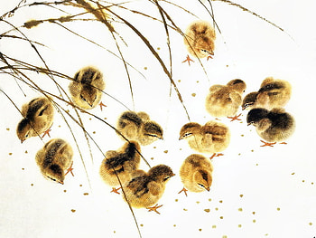 Where is mother?, birds, lovely HD wallpaper
