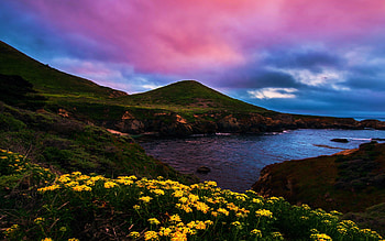 Big Sur, California, sea, hills, clouds, flowers, sky, sunset, usa HD wallpaper