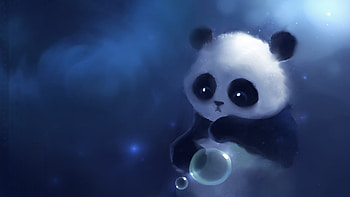 Pandas HD wallpaper