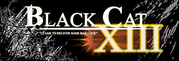 Black cat, 13, cat, black, luck HD wallpaper