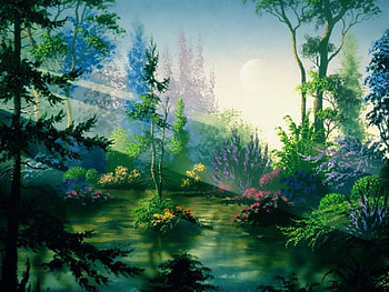 Forest, forests, nature HD wallpaper
