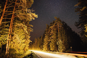 Nature, Trees, Stars, Night, Road, Forest HD wallpaper