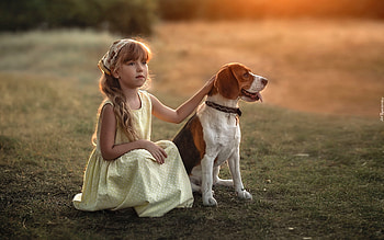 Girl with Beagle, dog, girl, beagle, friends, little HD wallpaper