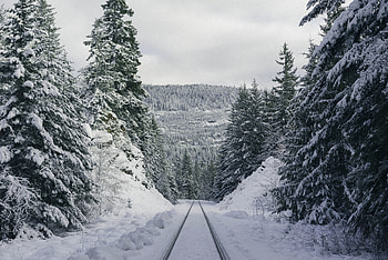 Winter, Nature, Mountains, Forest, Path, Trail HD wallpaper