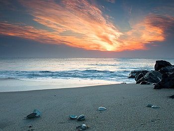 Sandy Beach, shell, clouds, stone, nature, sunset, beach HD wallpaper
