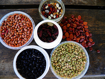 Seed savers, Biodiversity preservation, Gardening enthusiasts, Environmental stewardship HD wallpaper