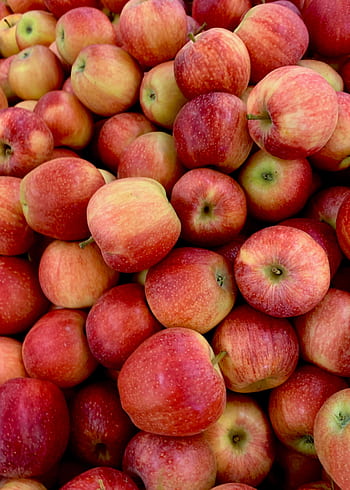 A vibrant pile of fresh, organic red apples showcasing their natural, delicious appeal. HD phone wallpaper