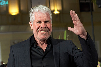 Ron Perlman, Movies, Handshake, Weinsteins HD wallpaper