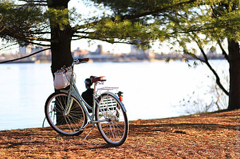 Rivers, Trees, Autumn, Miscellanea, Miscellaneous, Foliage, Bicycle HD wallpaper