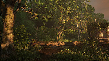 The Last of Us Part I HD wallpaper