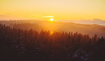 Golden Hour Foggy Landscape , fog, sunset, sunrise, landscape, nature HD wallpaper