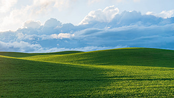 Grass, Field, Hills, Slope, Beautiful, Scenery, Natural, White, Clouds, Blue, Sky, Sunlight Nature HD wallpaper