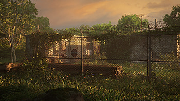 The Last of Us Part I HD wallpaper