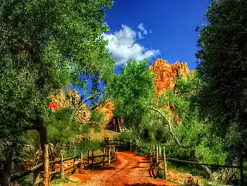 Strolling, sunny, path, mountain, summer, green, fence, clouds, trees, road, nature, sky, forest HD wallpaper