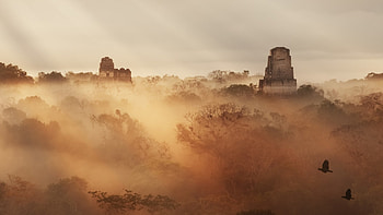 Maya site, Tikal in Guatemala, Historical significance, Ancient civilization HD wallpaper