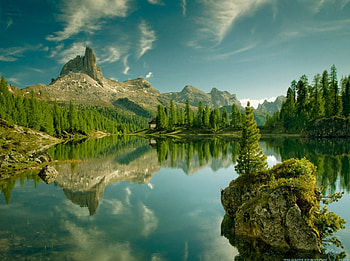 Peaceful place, peace, nature, harmony, lake, tree HD wallpaper
