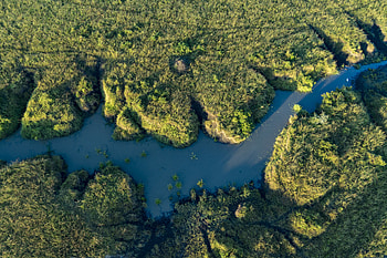 Nature, Water, Rivers, Grass, View From Above HD wallpaper