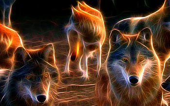 WOLF wolves predator fractal g | | 195230 . HD wallpaper