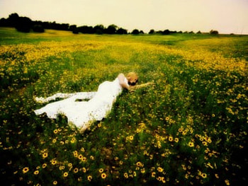 Flower Bed, model, flowers, field HD wallpaper