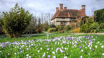 Nature, Flowers, Grass, Building HD wallpaper