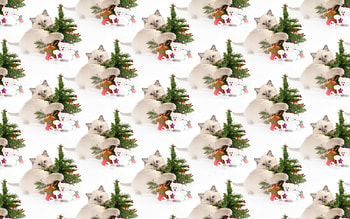 Kitten texture, kitten, animal, white, craciun, cat, paper, tree, green, christmas, texture, pattern HD wallpaper