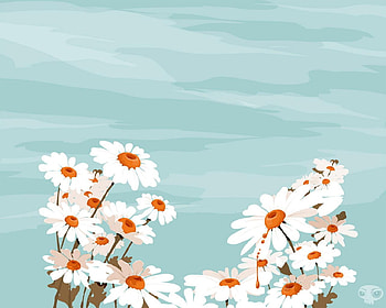 Daisies, nature, flowers HD wallpaper